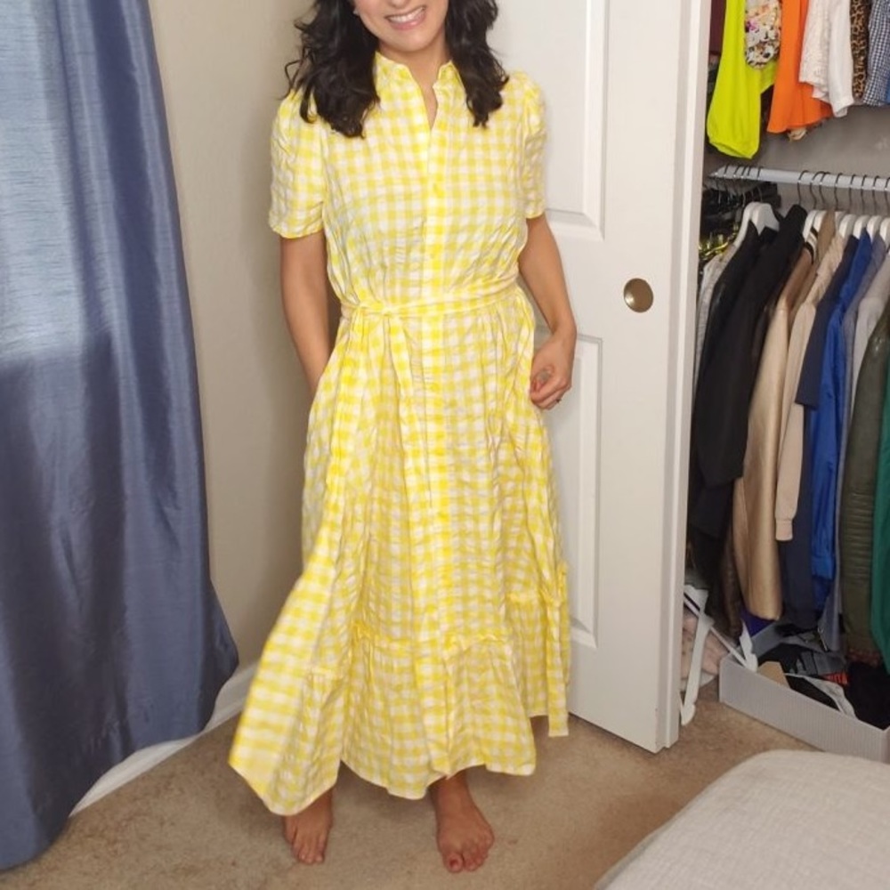 Lisa Marie Fernandez X Target gingham dress 2xl